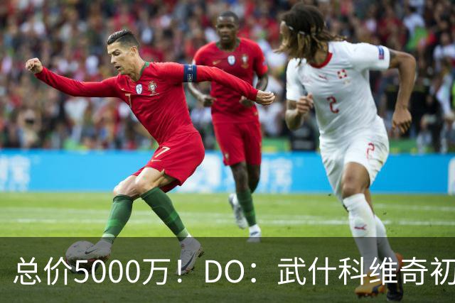 总价5000万！DO：武什科维奇初始转会费4600万镑，热刺有二转分成